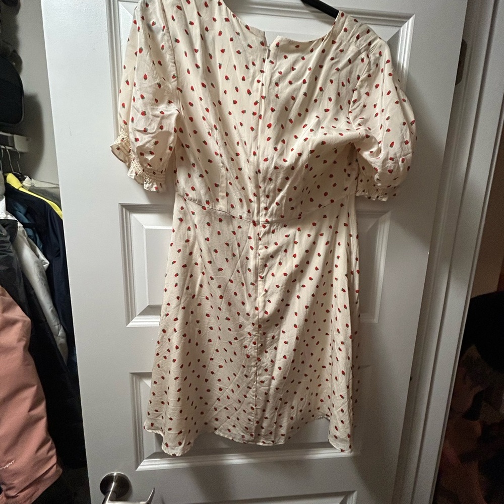 Madewell Silk Button Front Strawberry Dress Size 6